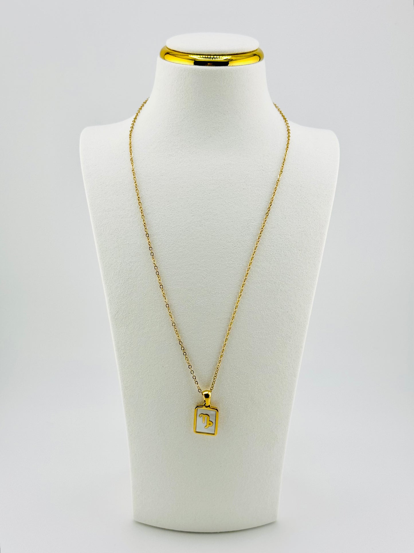 Capricorn gold filled zodiac sign necklace