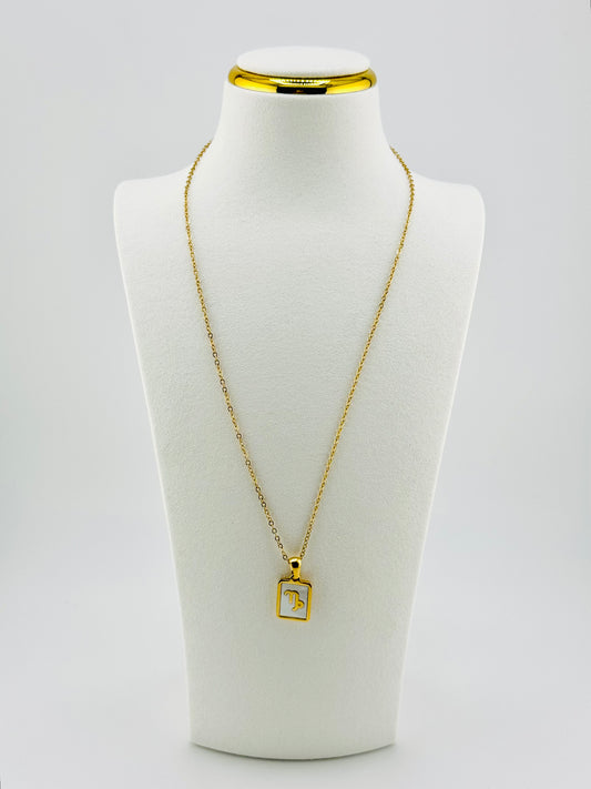 Capricorn gold filled zodiac sign necklace