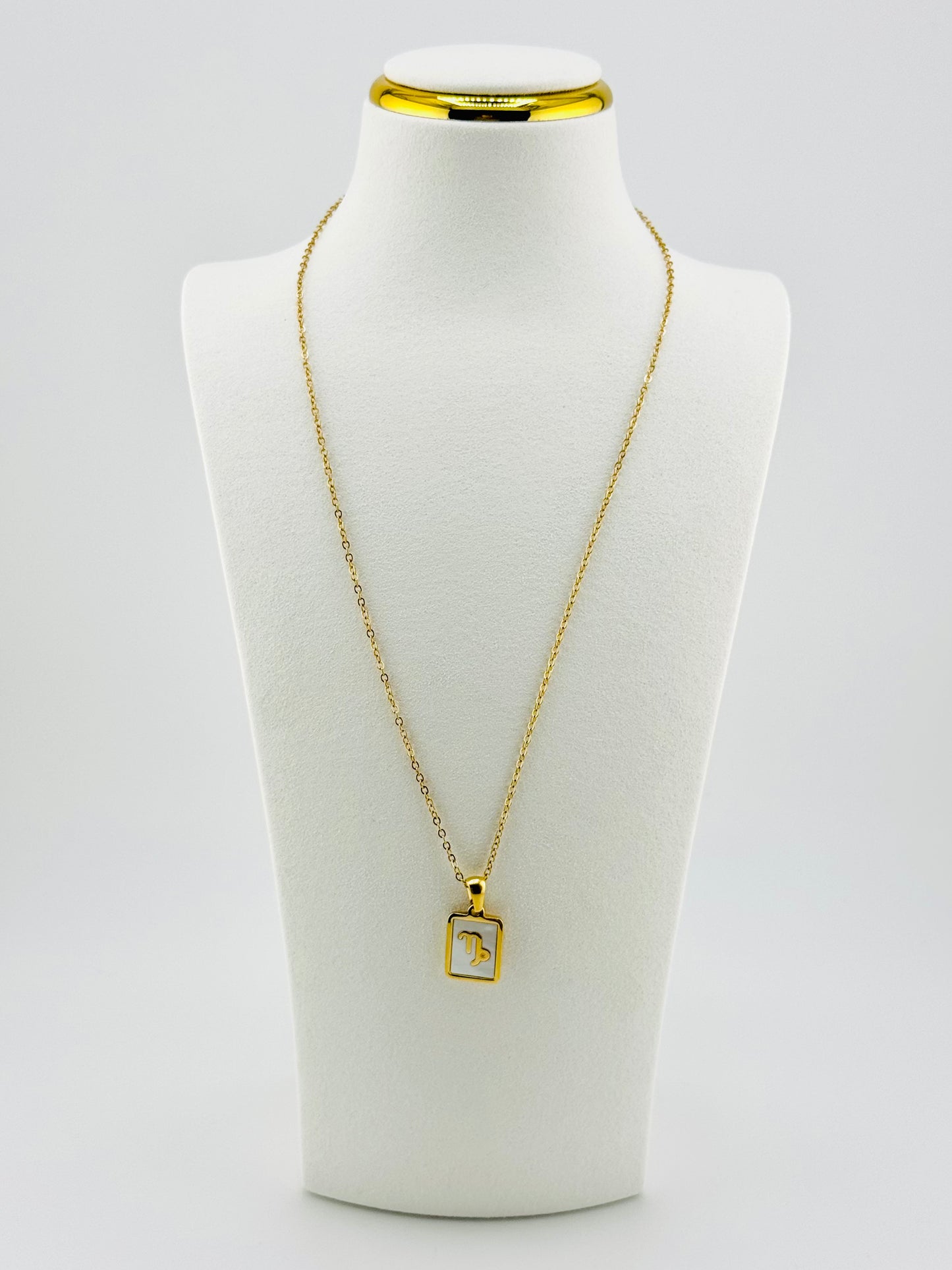 Capricorn gold filled zodiac sign necklace